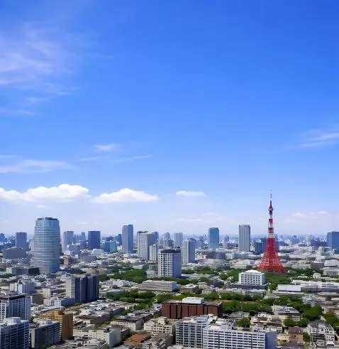 数字で見る実績